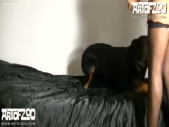 Doggy scored in his Master